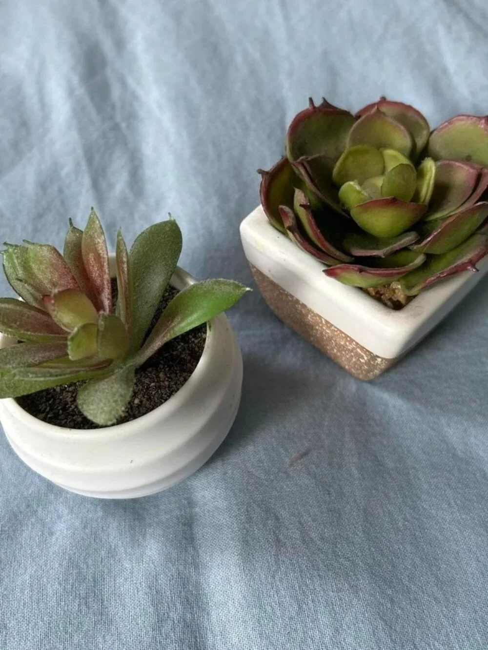 2 Small Fake Succulents